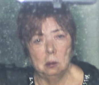 恵みのシリカを扱うオンラインショップの商品ページ。1粒216mg×150粒の商品が掲載されている